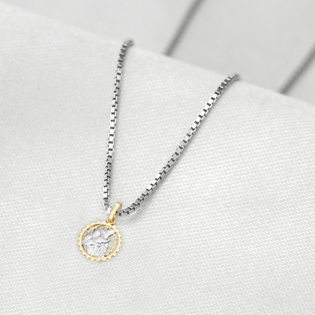 Corrente de Prata com Pingente de Formatura em Ouro 18k Profissão Economia P