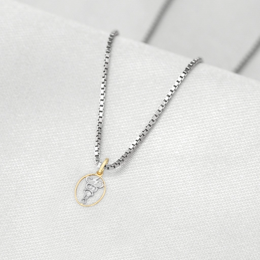 Corrente de Prata com Pingente de Formatura em Ouro 18k Profissão Fisioterapia P