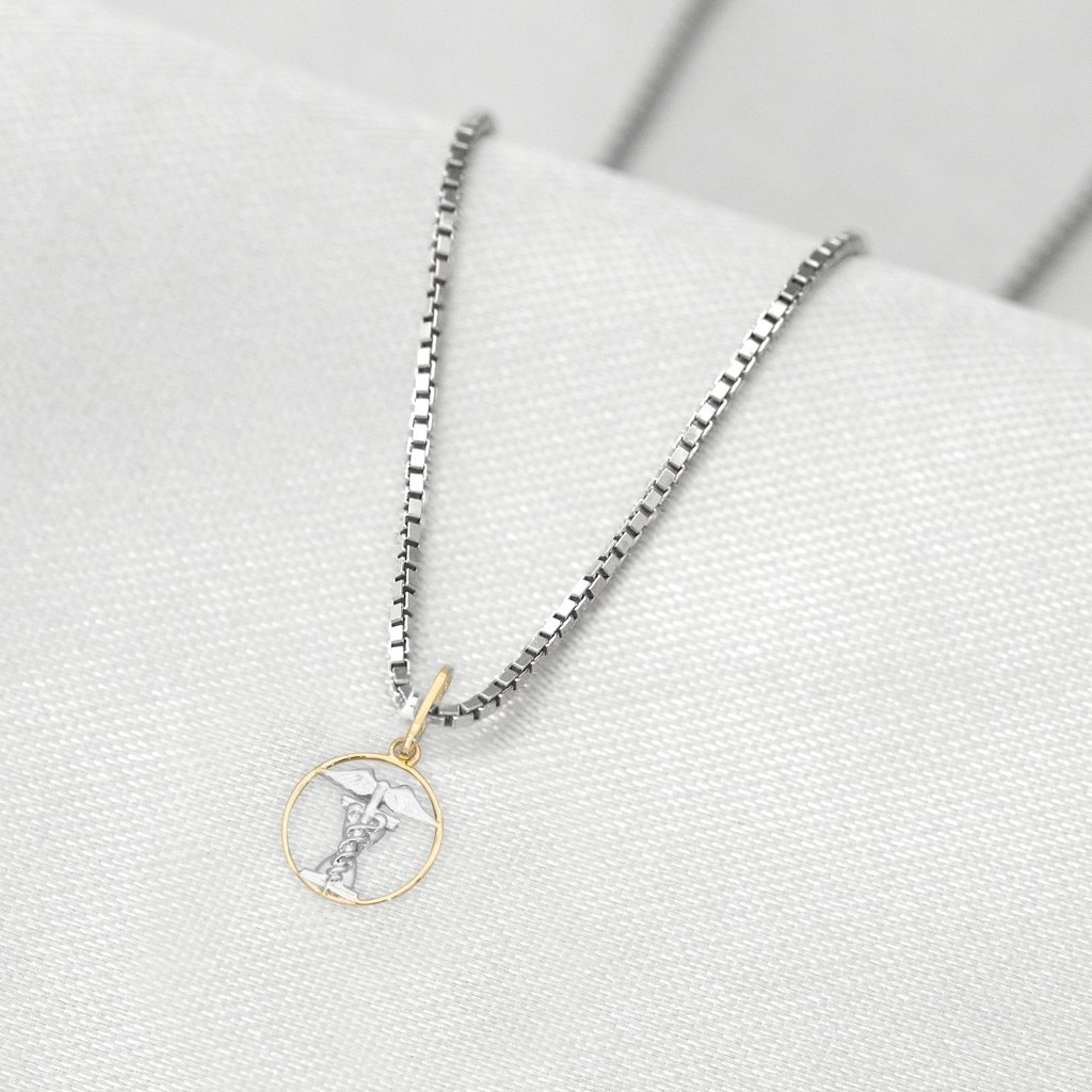 Corrente de Prata com Pingente de Formatura em Ouro 18k Profissão História P