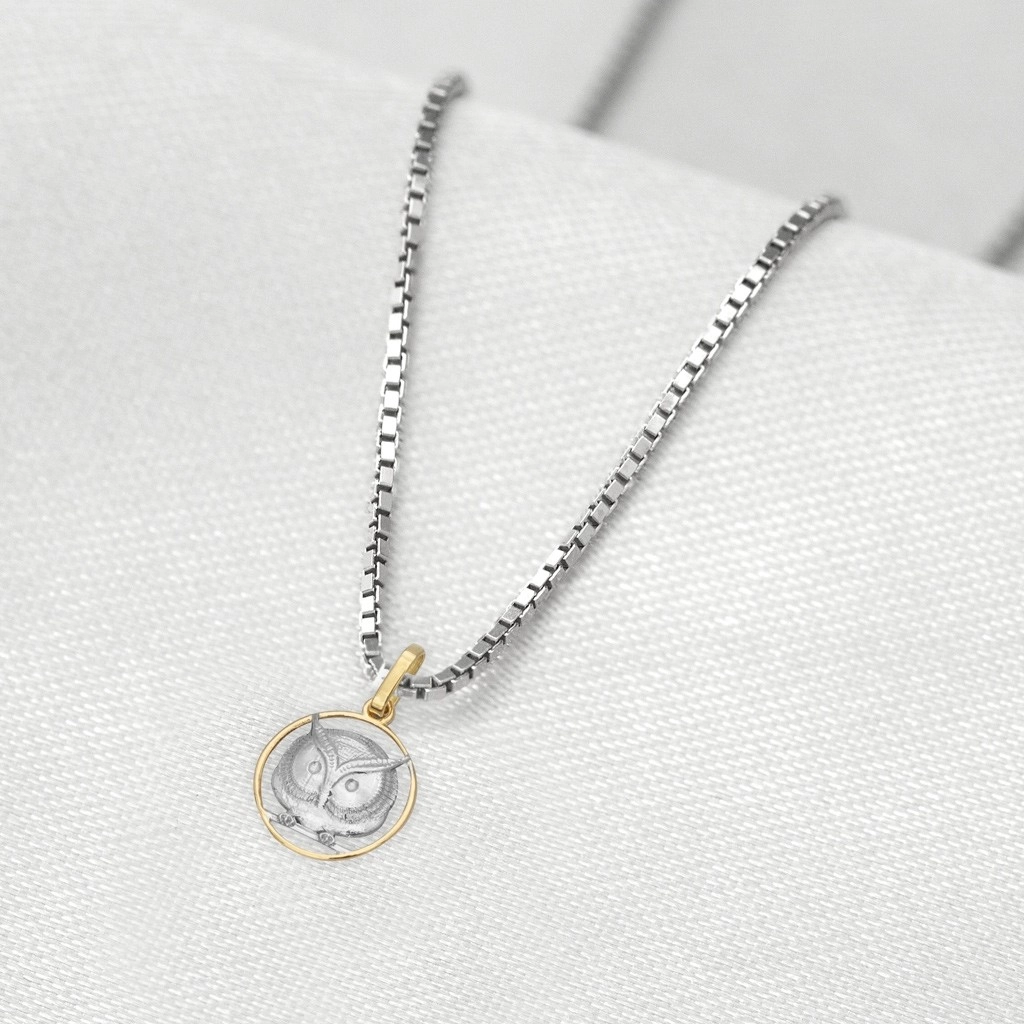 Corrente de Prata com Pingente de Formatura em Ouro 18k Profissão Letras P