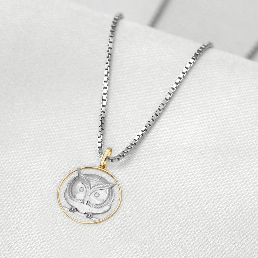 Corrente de Prata com Pingente de Formatura em Ouro 18k Profissão Letras