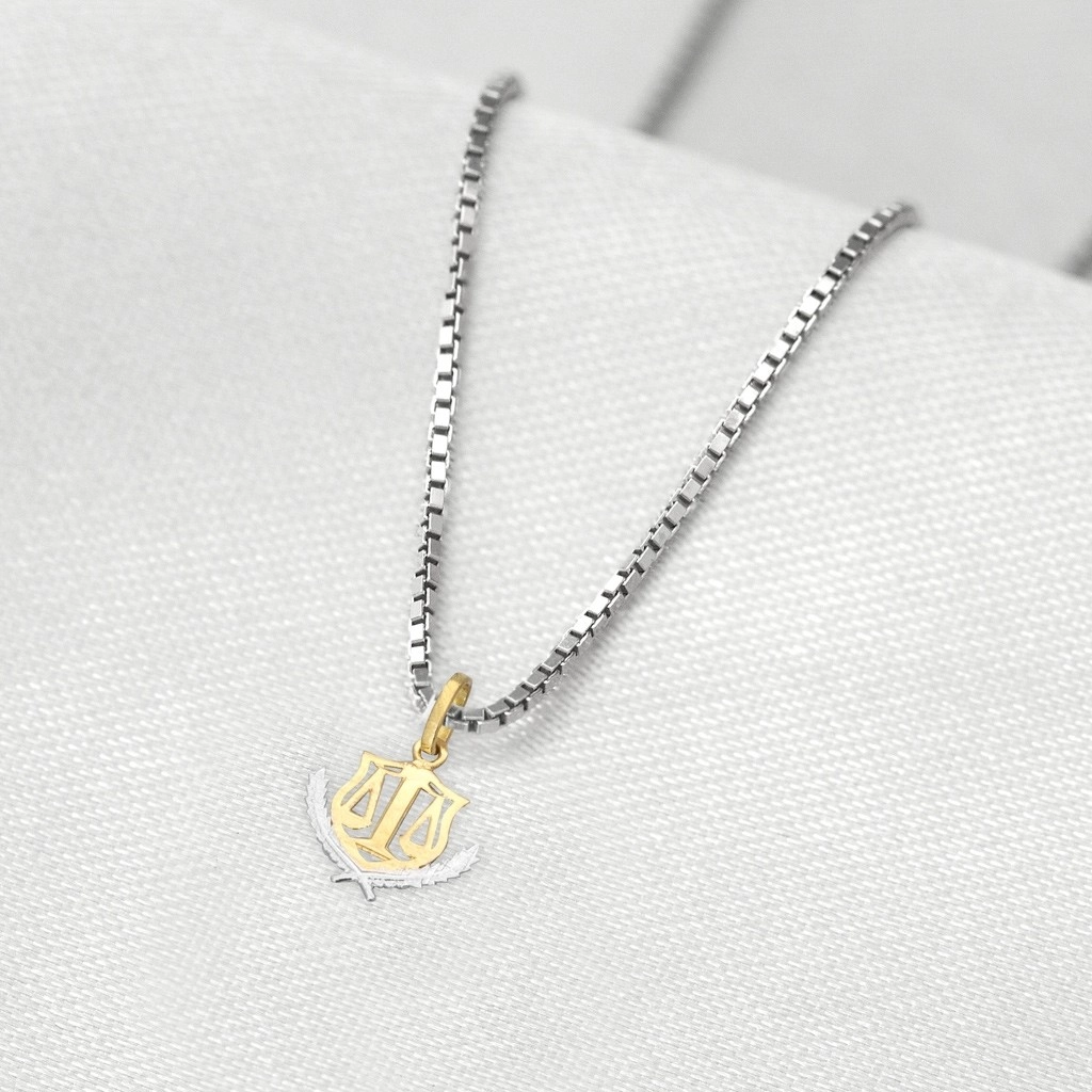 Corrente de Prata com Pingente de Formatura em Ouro 18k Profissão Nutrição P
