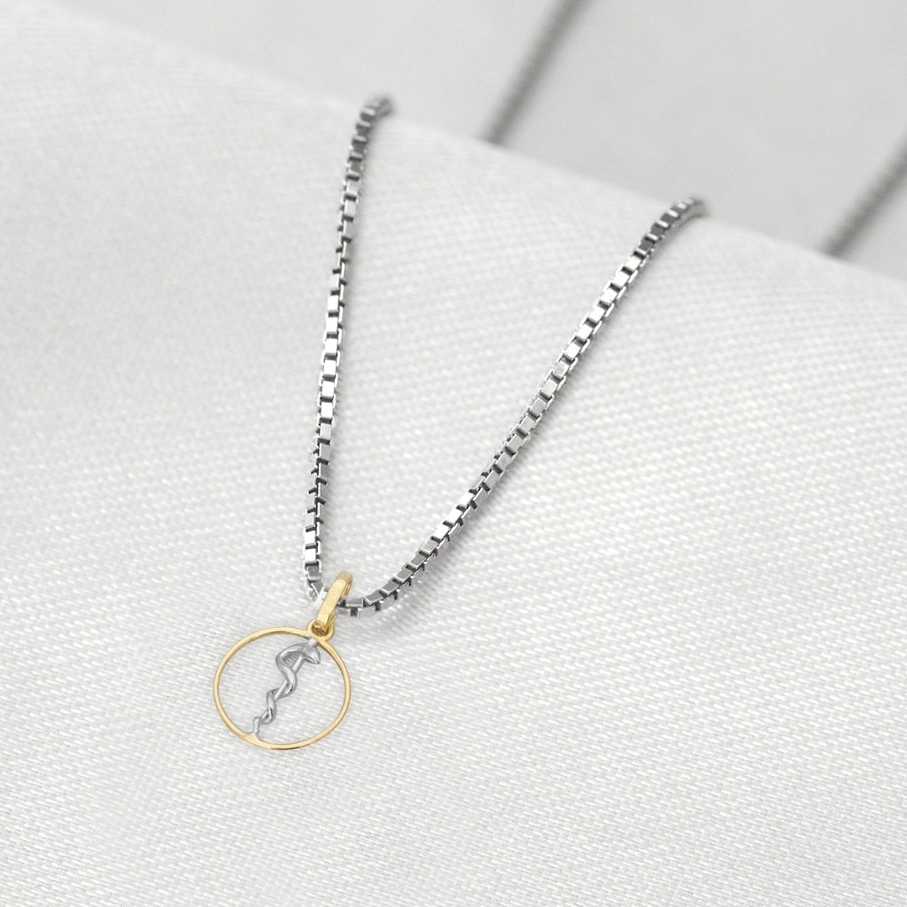 Corrente de Prata com Pingente de Formatura em Ouro 18k Profissão Odontologia P