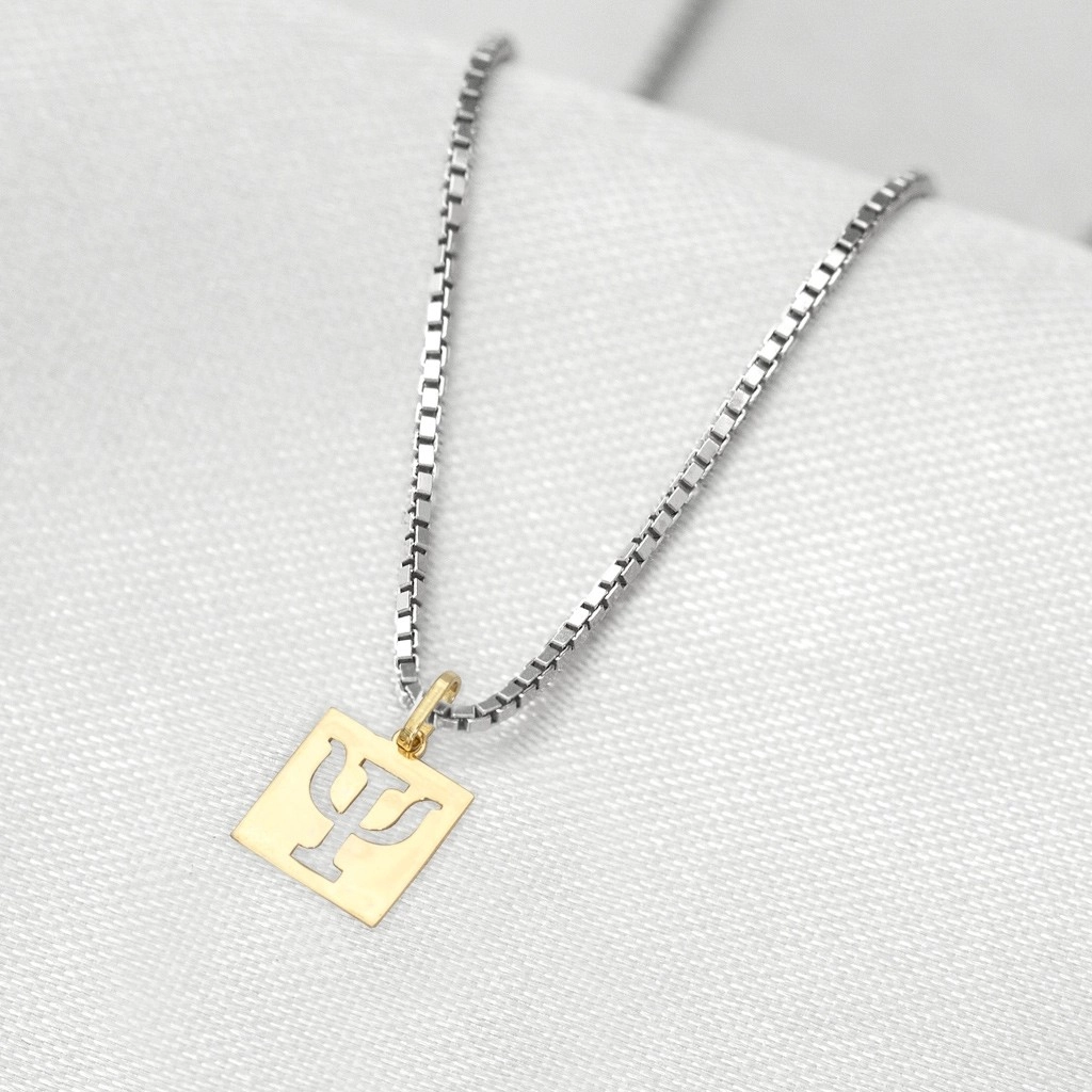Corrente de Prata com Pingente de Formatura em Ouro 18k Profissão Psicologia P