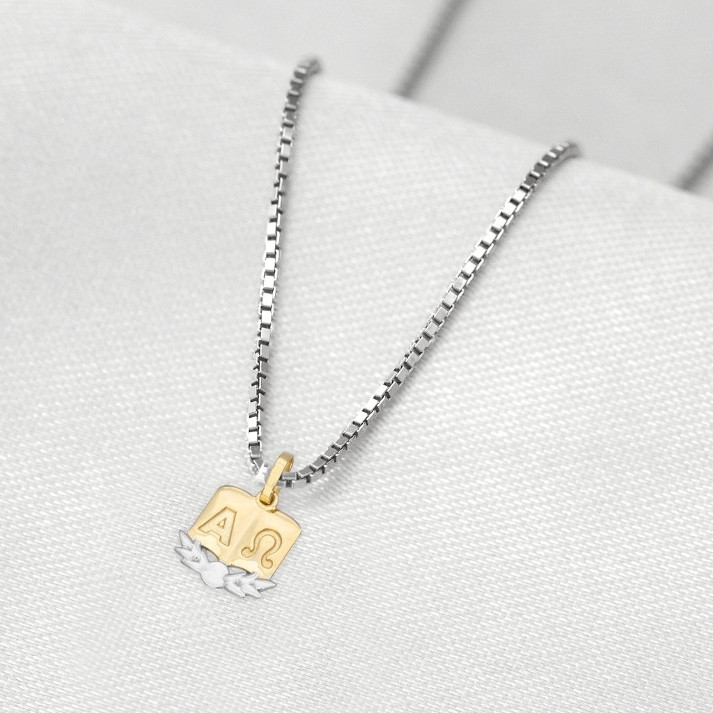 Corrente de Prata com Pingente de Formatura em Ouro 18k Profissão Teologia P