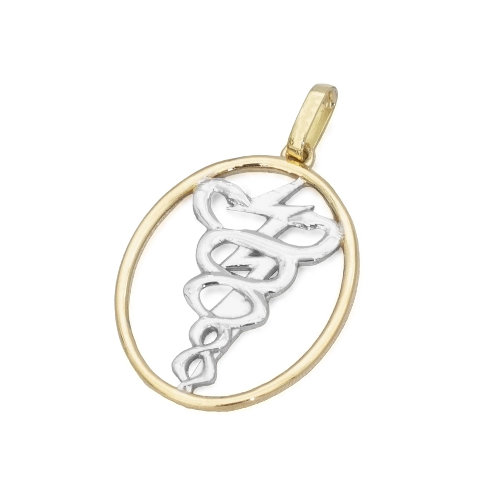 Pingente de Formatura Profissão Fisioterapia em Ouro Amarelo e Ouro Branco 18K