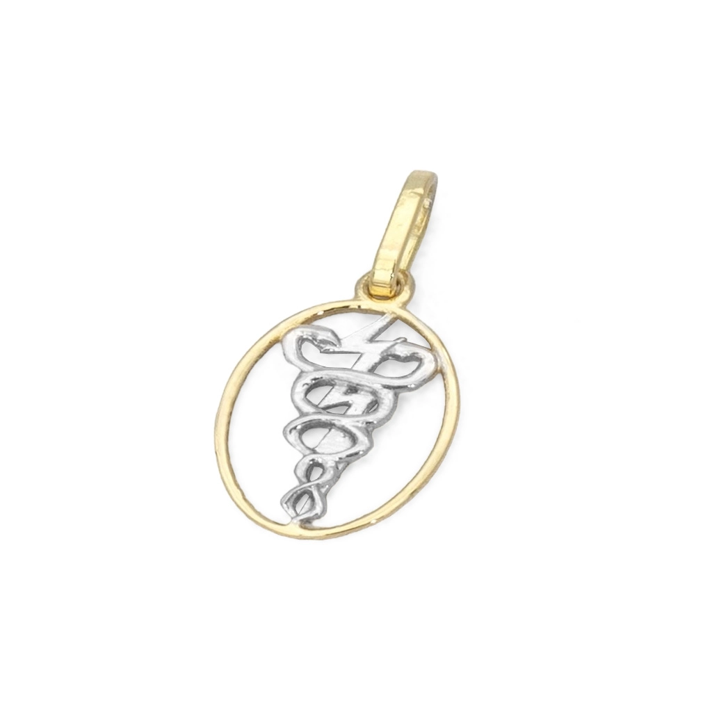 Pingente de Formatura Profissão Fisioterapia em Ouro Amarelo e Ouro Branco 18K P