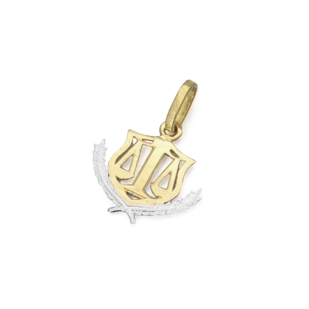 Pingente de Formatura Profissão Nutrição em Ouro Amarelo e Ouro Branco 18K P
